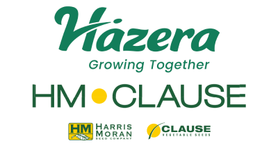 Hazera Gold